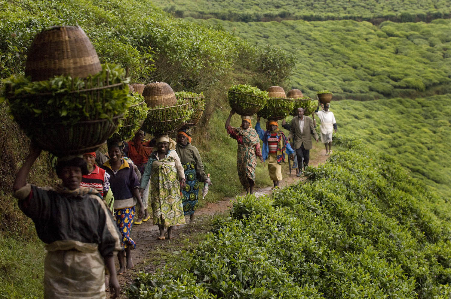 2027 Rwanda Ag Tour - Image 2