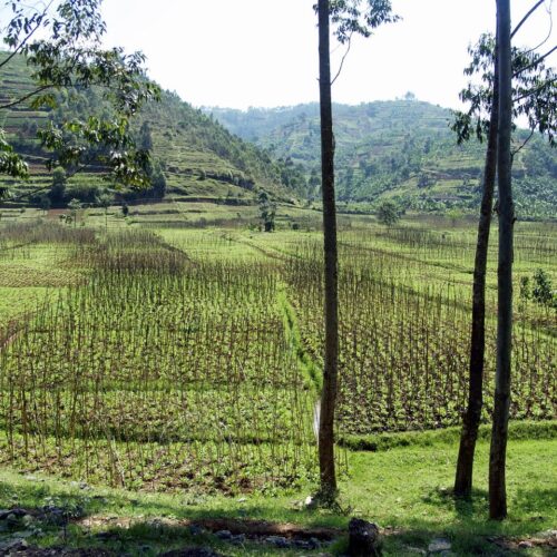 2027 Rwanda Ag Tour