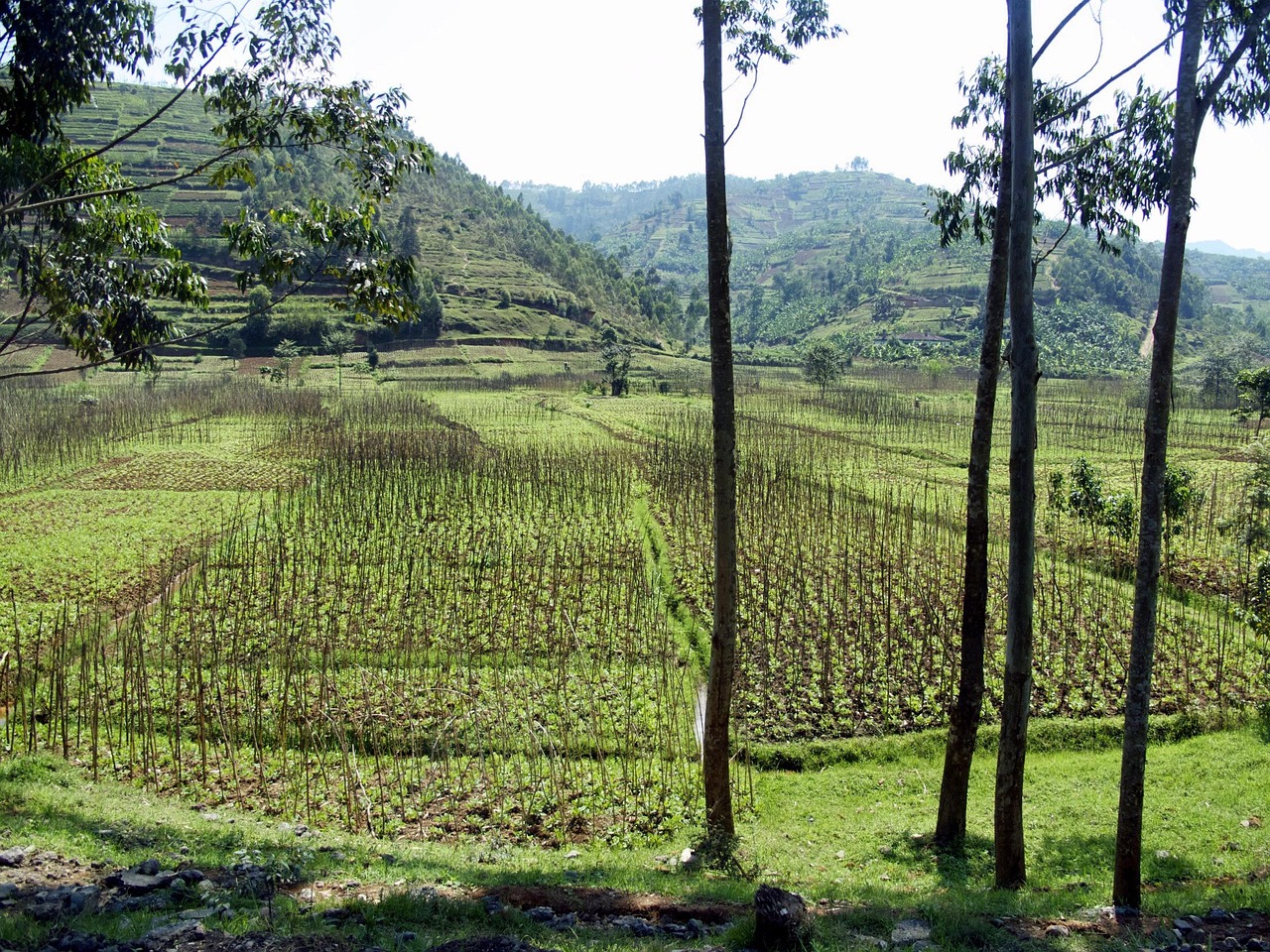 2027 Rwanda Ag Tour