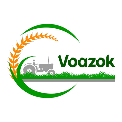 Voazok Limited