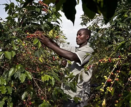 Uganda Ag Tour