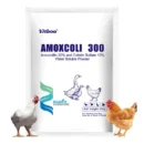 Amoxicillin 20% and Colistin Sulfate 10% Soluble Powder for Poultry and Livestock