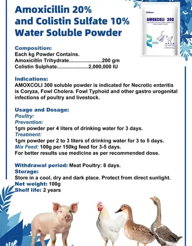 Amoxicillin 20% and Colistin Sulfate 10% Soluble Powder for Poultry and Livestock