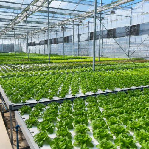 2026 Singapore Agritech Tour
